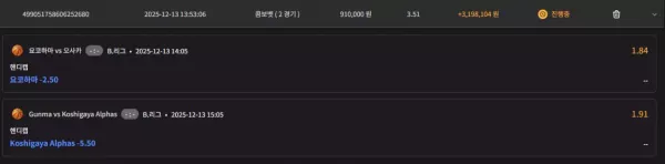 나나벳 먹튀 사건: 319만원 피해 주의보 (nana-1.com)