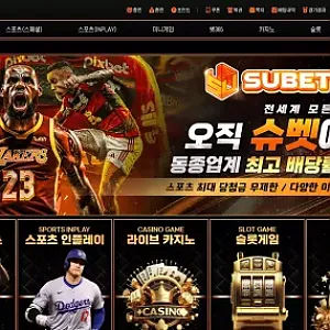 슈벳 먹튀 사례: sub-a2.com 도메인 197만원 피해 주의보