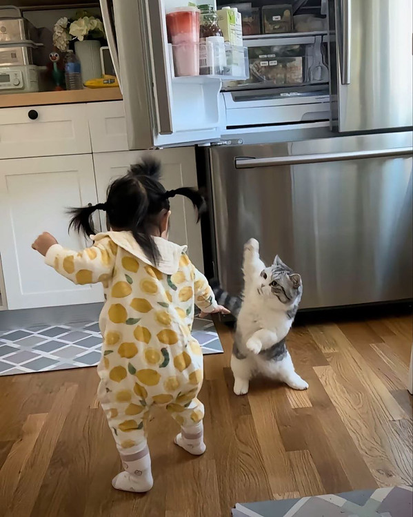 가내 무림고수의 일촉즉발 상황