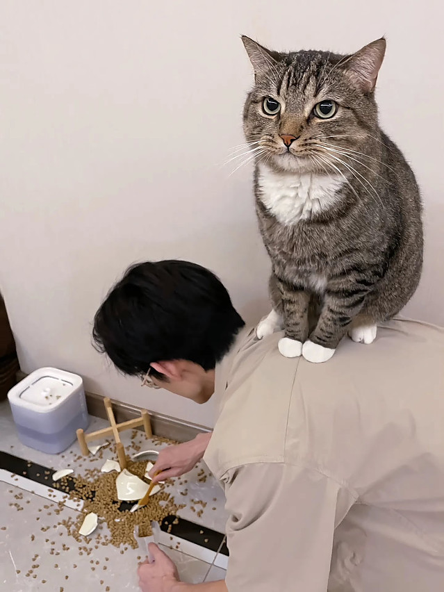 사고는 내가 처리는 네가