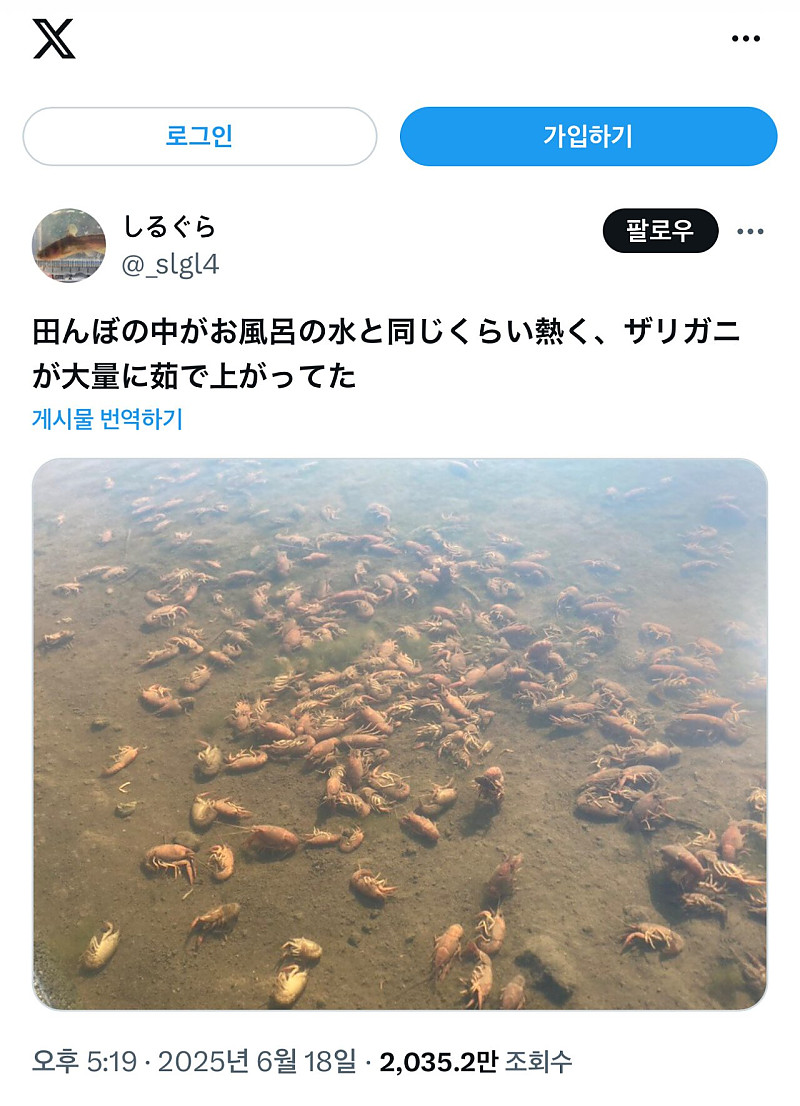 일본 날씨 근황