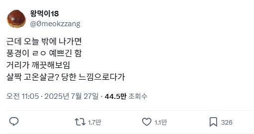 오늘 날씨 풍경이 너무 예쁜 이유...