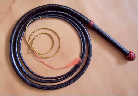 인류가 최초로 음속을 돌파시킨 물체