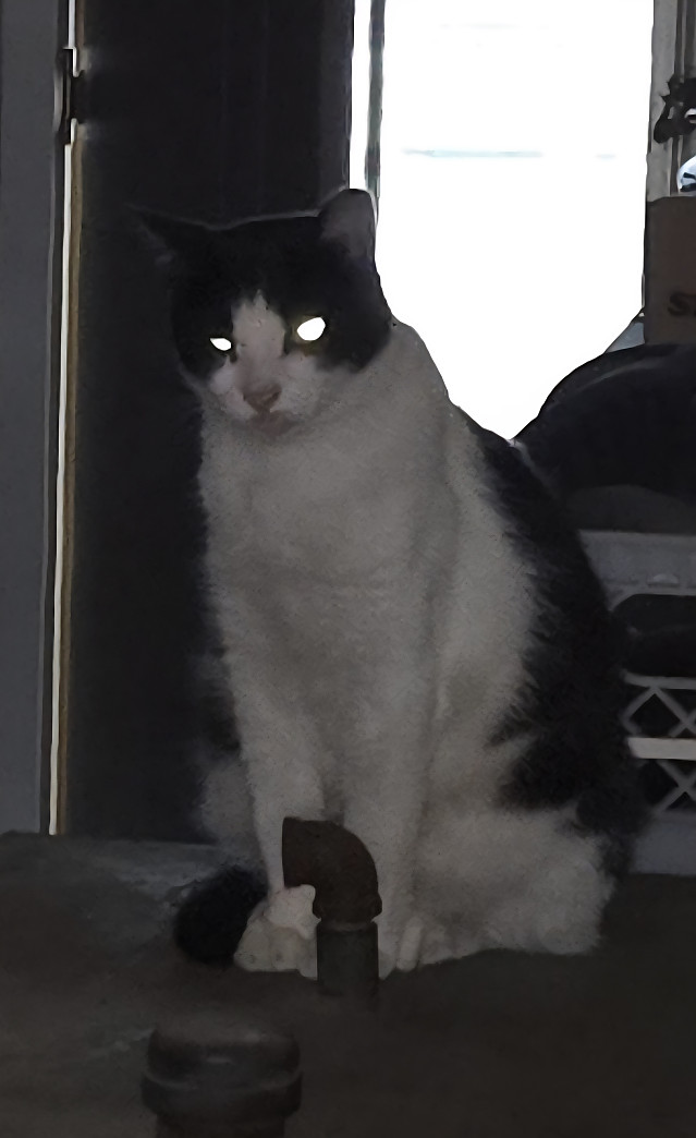 나비야...벌써 10시가 넘었거든...