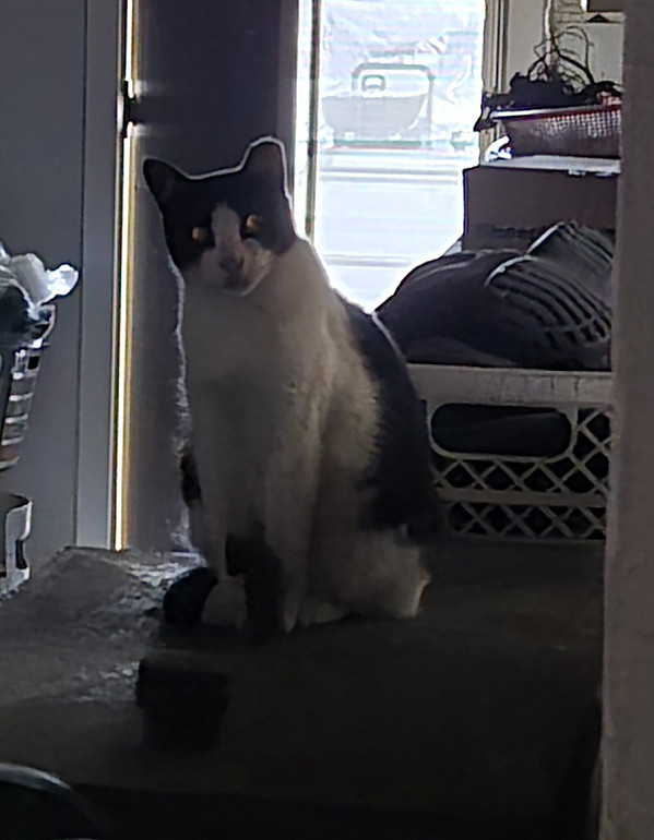 나비야...벌써 10시가 넘었거든...