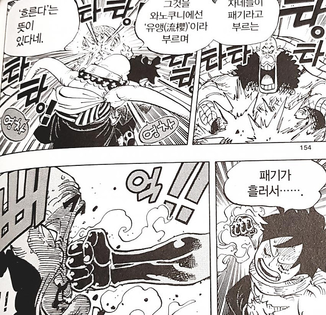 원피스에서 공식보다 많이 퍼진 용어