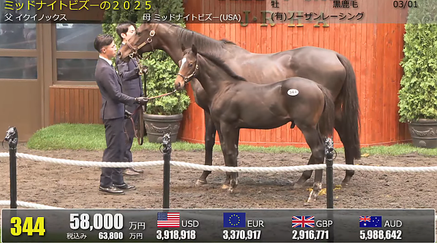 네발로 걸어다니는 강남아파트