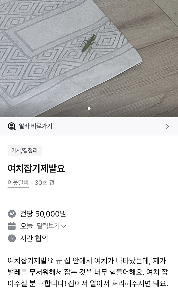 여치 잡아주시면 5만원 드립니다