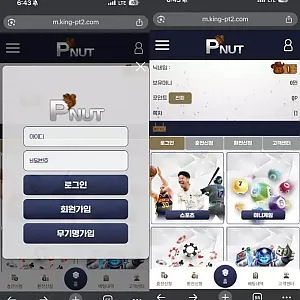 피넛 먹튀 제보 | king-pt2.com 500만원 환전 후 IP 차단 먹튀 피해 주의